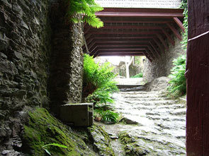 写真11