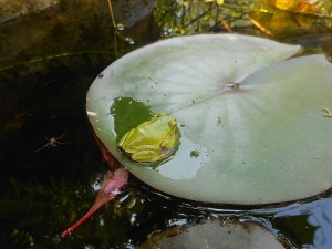 DSCN3410